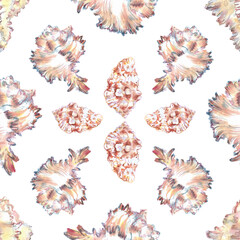 Shell pattern underwater world in watercolor. Murex Endivia, Conch Snail sea shells with different form. Sea snails can be used as a sticker, a printed postcard, poster for a spa salon, spa center