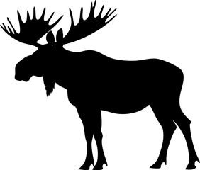 A striking silhouette of a moose showcasing its impressive antlers, representing wildlife and nature in a forested environment.