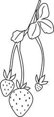 Doodle illustration of a strawberry plant with fruit.