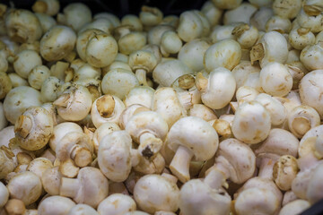 small organic not washed champignons mushrooms in supermarket, food background in grocery.