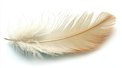 Fototapeta premium Delicate white feather resting on a clean surface showcasing intricate details and soft textures