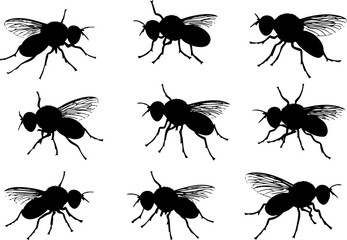 A collection of bee silhouettes showcasing various poses and angles, ideal for graphic design and illustration projects.