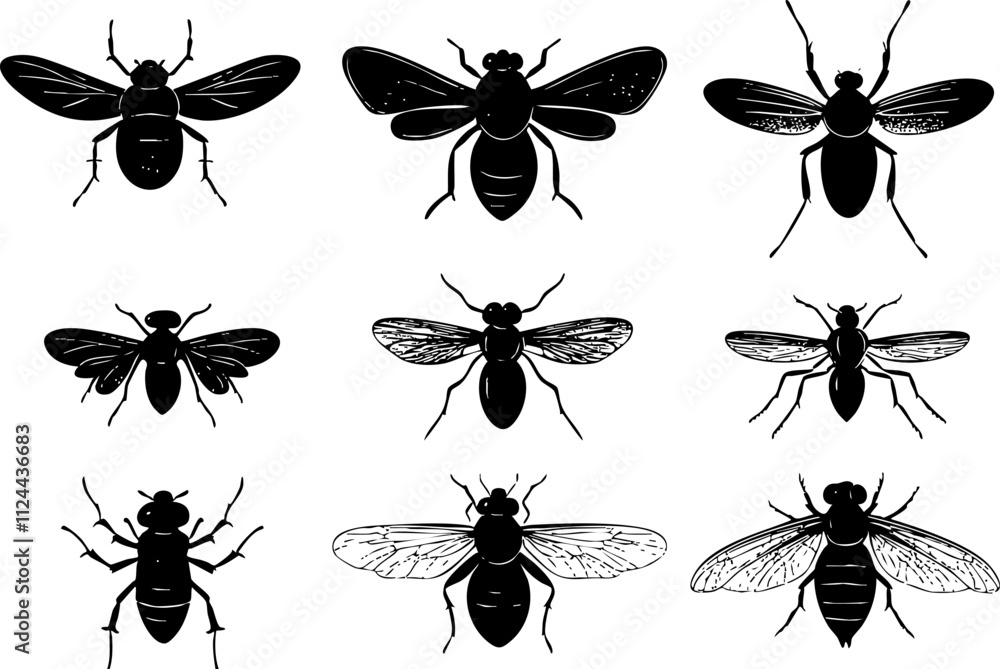 Poster a collection of black silhouettes of various bee species, showcasing their distinct features and win