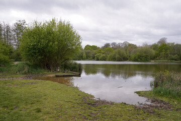 Parkland landscape with lake and surrounding trees. peaceful scenery during spring