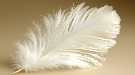 Obraz premium Light and delicate white feather resting on a soft, neutral background showcasing natural beauty