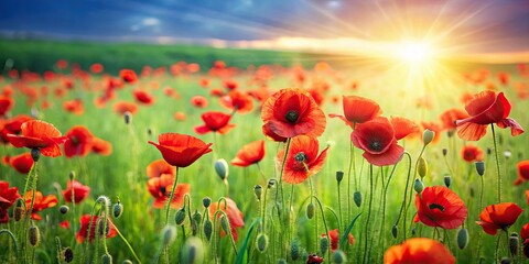 Fototapeta premium Vibrant red poppies standing out in a field of lush green grass , flowers, nature, meadow, vibrant, red, poppies, grass