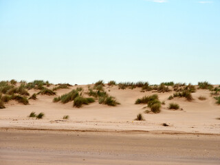 Doñana National Park. Ecosystems that host a unique biodiversity in Europe. The marsh stands out above all. It is one of the most important protected areas in Andalusia 