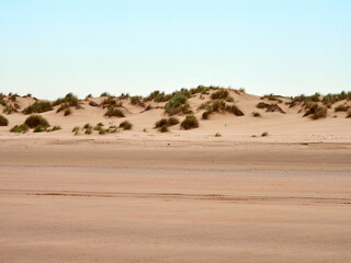 Doñana National Park. Ecosystems that host a unique biodiversity in Europe. The marsh stands out above all. It is one of the most important protected areas in Andalusia 