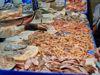 Seafood and fish market. Christmas food. High prices.