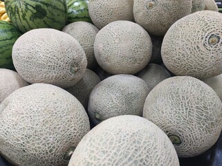 A Colorful Selection of Tropical Fruits from Colombia