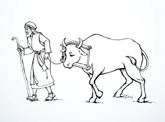 Vector drawing. A man leads an ox
