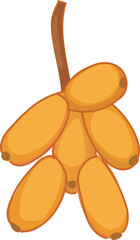 Yellow date fruit cluster with stem illustration.