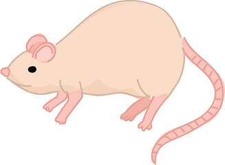 Cartoon Illustration of a Cute Mouse.