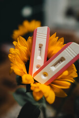 Positive pregnancy test placed on yellow sunflower. Two pregnancy tests for to double confirm being pregnant. Waiting for newborn, child. Family growth. 