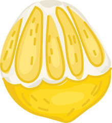 Peeled Lemon Illustration Showing Segments.