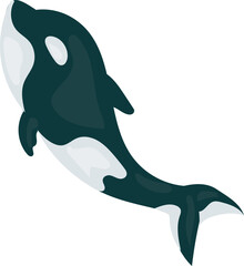 Orca Whale Illustration in Minimalist Style.