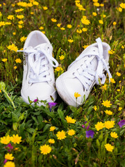 White shoes in wildflower meadow