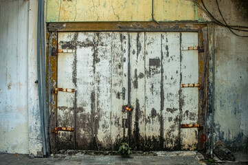 Old, weathered wooden door with peeling paint and rusted hinges, set against a cracked, aged wall. A small plant grows at the base, adding a touch of life to the scene