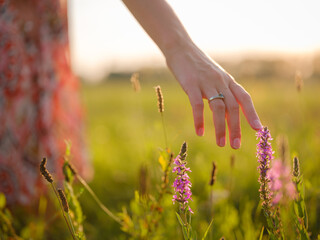 woman's hand touching purple wildflowers, close-up of fingers holding grain, delicate hand in field...