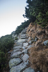 Road, mountain trail in the High Tatras, landscape.
