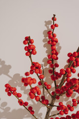 Red Berries on Branch with Shadow Play. Seasonal Botanical Minimalism, Christmas Decor, Festive Natural Elements