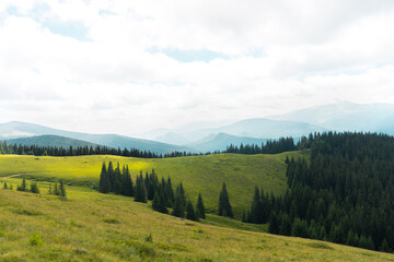 landscape in the mountain silhouettes of mountains, forest, travel, tree and green grass tones, travel, Carpathian mountains, hiking in the mountains, poster, wallpaper