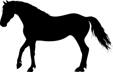 Obraz premium A striking silhouette of a horse showcasing its elegant form and flowing mane, perfect for artistic and design purposes.