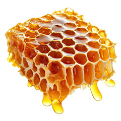 honeycomb with honey isolated on white and transparent background