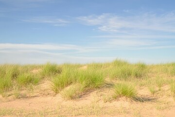 Obraz premium Close-up of a barrel cactus with sharp yellow spines in a desert garden.. Beautiful simple AI generated image
