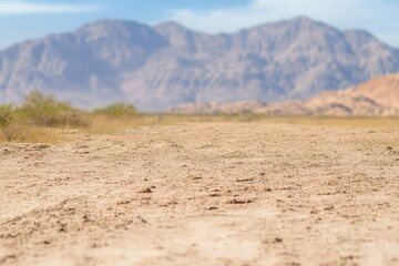 Close-up of a Cactus with Spikes and Sunlight. Beautiful simple AI generated image