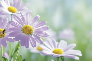Fototapeta premium Bee collect pollen from pink flower (Cosmos bipinnatus). Close-up. Side view. Beautiful simple AI generated image