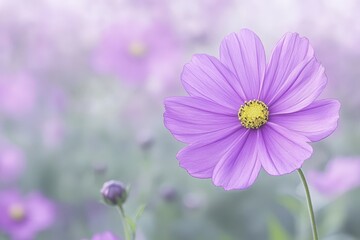 Bee collect pollen from pink flower (Cosmos bipinnatus). Close-up. Side view. Beautiful simple AI generated image