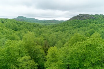 Fototapeta premium Aerial view of tropical resort with lush greenery and crystal-clear water, offering a tranquil and luxurious vacation destination.. Beautiful simple AI generated image