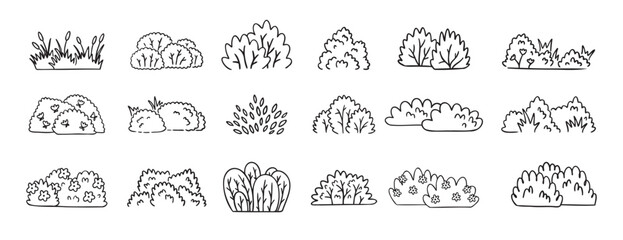 Bushes doodle hand drawn line icon set. Bushes clipart outline