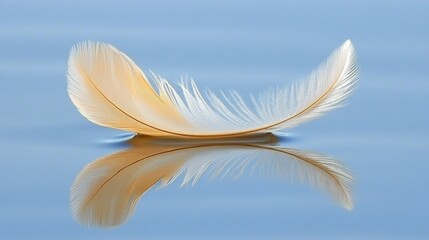 Naklejka premium Tranquil Feather Reflection on Serene Water