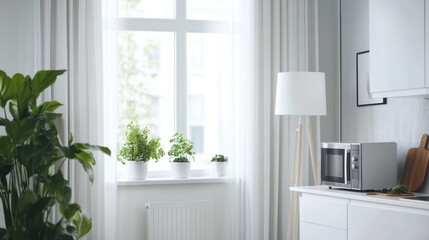Bright and Airy Kitchen with Indoor Plants and Light Decor