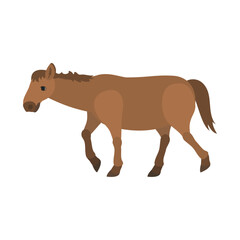 歩く馬。フラットなベクターイラスト。
Walking horse. Flat vector illustration.