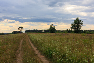 Fototapeta premium Summer evening, road in a field, Vologda region, Veliky Ustyug district