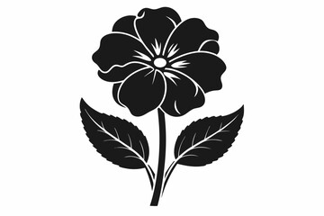  Primrose flower silhouette black color vector illustration