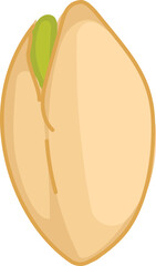 Pistachio Nut with Open Shell Illustration.