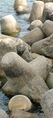 A large collection of rocks is positioned on the shore of a body of water