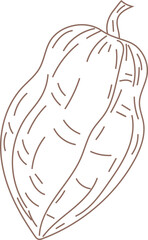 Cacao Fruit Line Art Drawing.