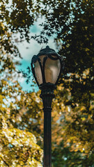 old lamp in the park