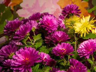 Vibrant Purple And Yellow Flowers Against A Colorful Abstract Background