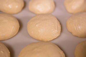 round buns made of white flour dough, baking preparation
