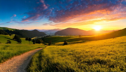 Obraz premium meadow with a small road at sunrise
