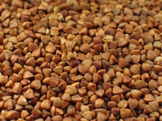 Buckwheat close view background