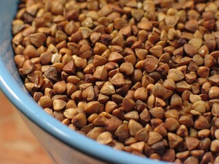Buckwheat close view background