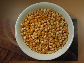 Close-up of corn background