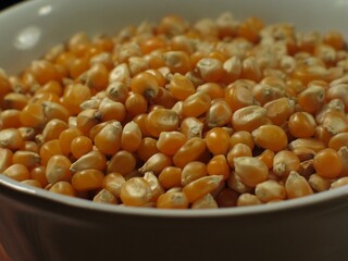 Close-up of corn background